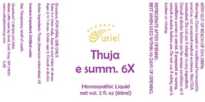Thuja E Summ. 6x Liquid